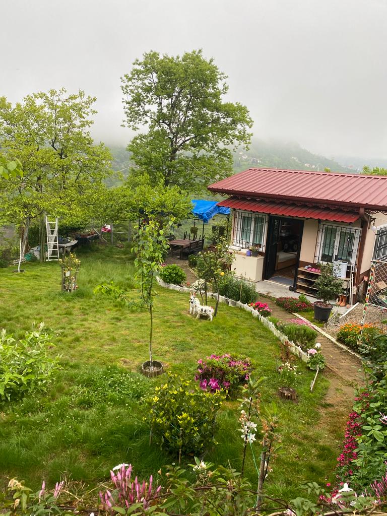 Hakkımızda